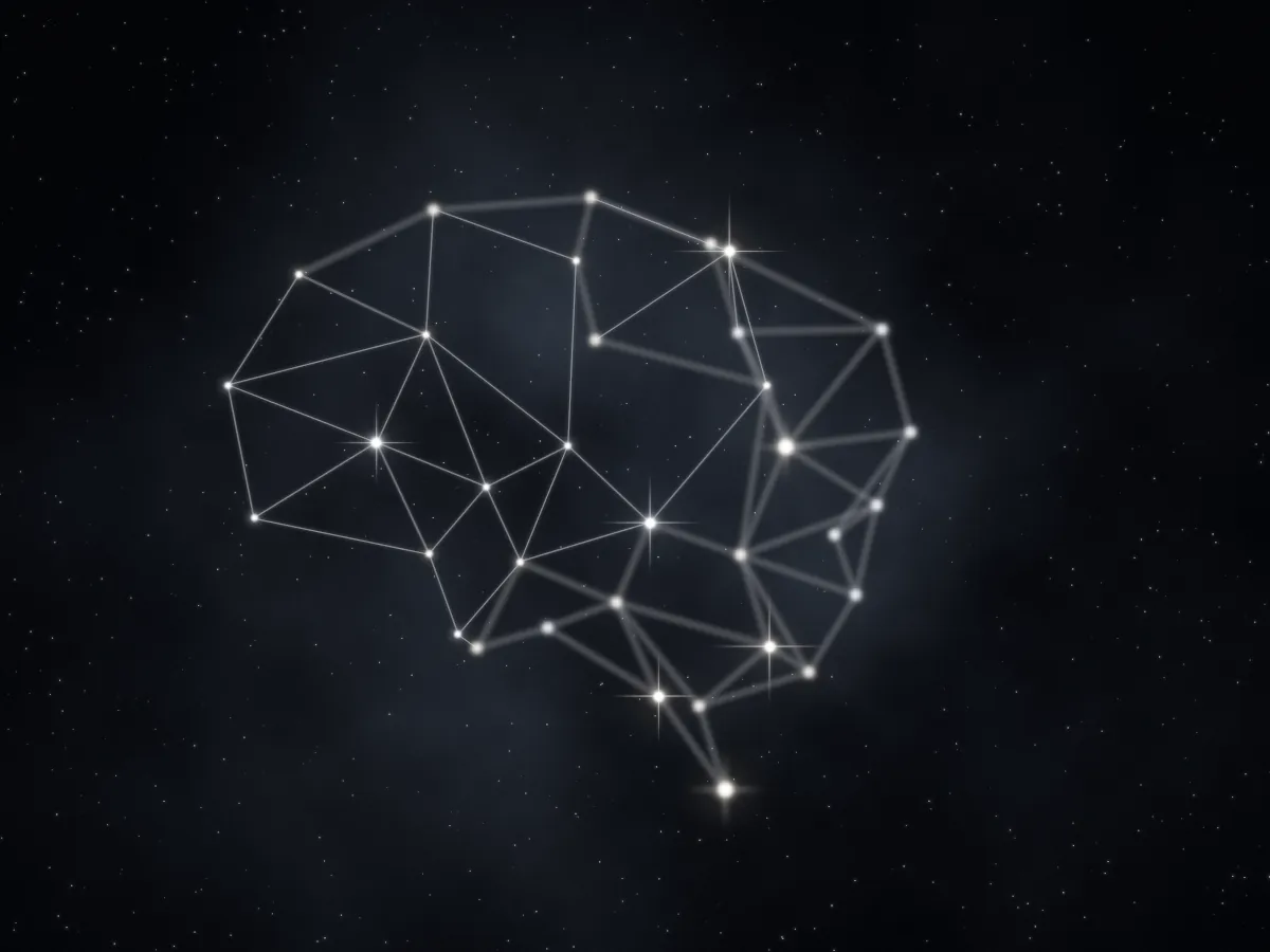The brain constellation