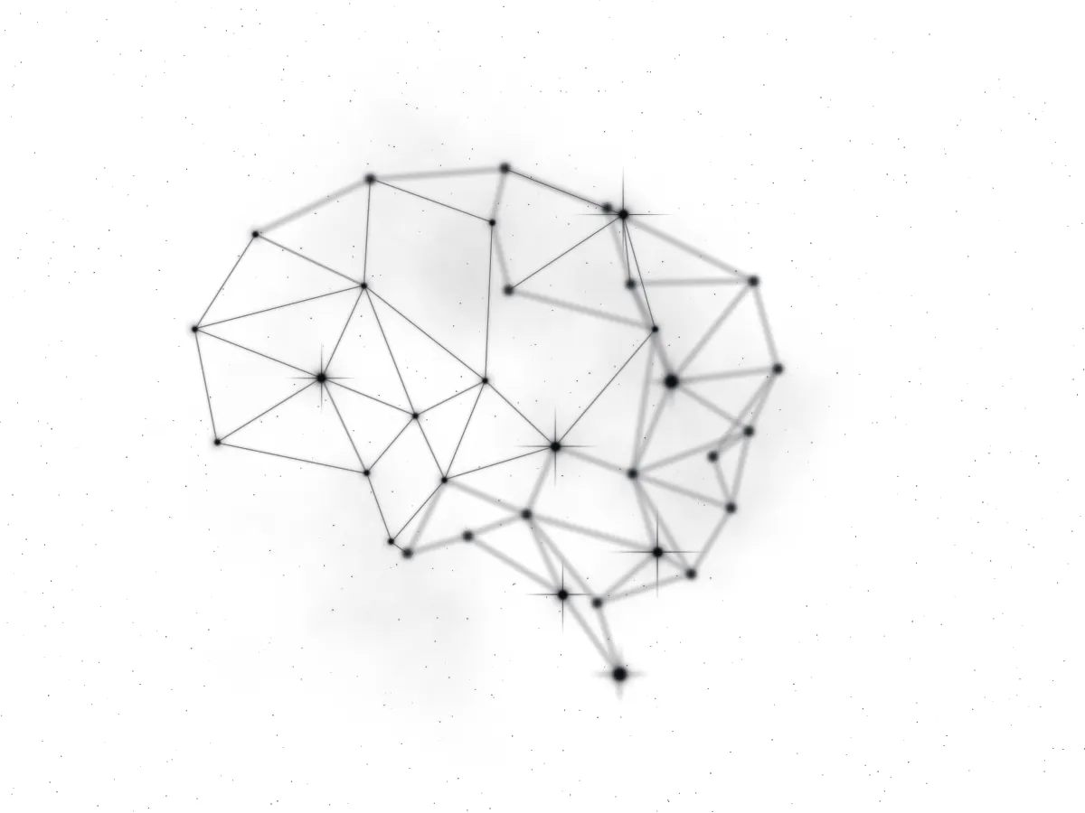The brain constellation